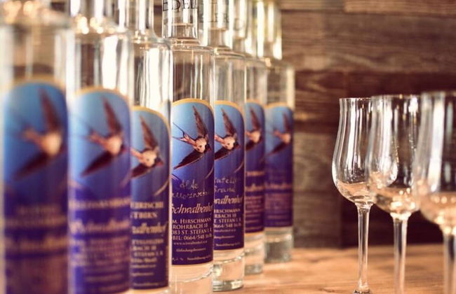 Apartment Adlerhorst - Schwalbenhof Farm - Foto 18