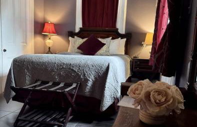 Dragonfly Tremé-Unique - Historic-Heated Salt Pool - Foto 12