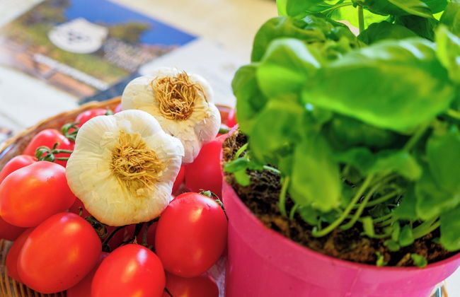 Villa Tanca with AC, Terrace - Foto 1