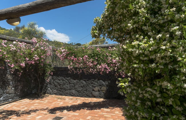 Viola nel Parco - Foto 30