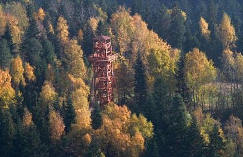 Domek Pocieszna Podkowa - Foto 15