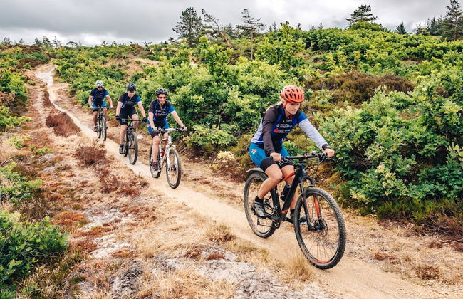 BLÅBJERGGAARD - Foto 14