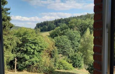 Ferienwohnungen Nibelungenwald - Foto 100