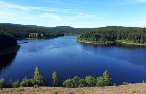 Holiday home in the Harz Mountains with 3 bedrooms - Foto 19