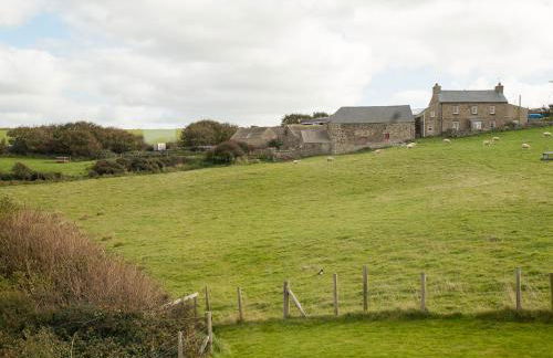 Primrose Cottage - Foto 19