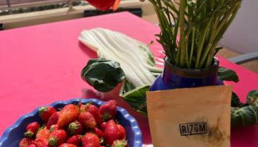 Chez Jo Duplex Terrasse vue mer Hyères - Foto 3