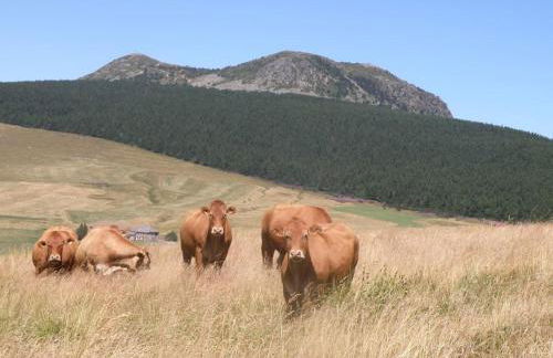 PETITE MAISON AU CALME AVEC VUE MAGNIFIQUE ! - Foto 32