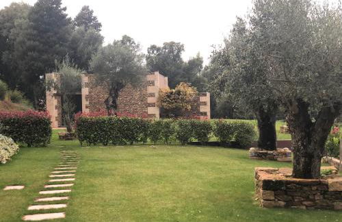 Bosque da Harmonia - Foto 52