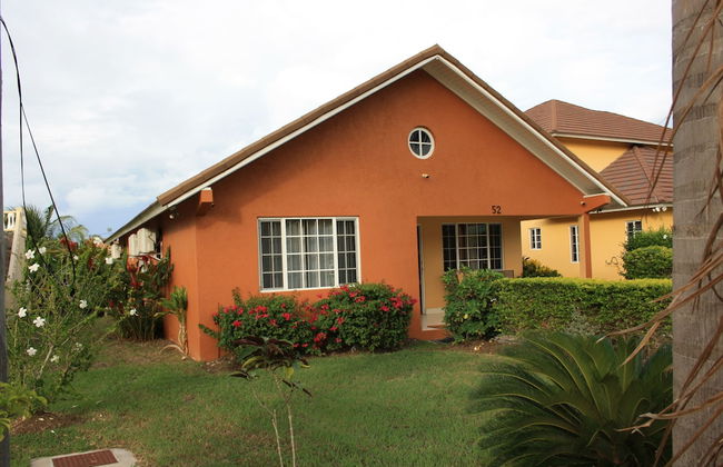 Soleil Hartland Palms - Foto 22