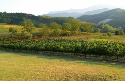 Agriturismo Ca' le Suore - Foto 141