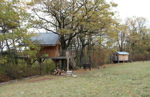 Les Insolites du Vercors - Photo 34
