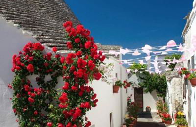 Casa vacanze Villa Tiziana Chalet di campagna - Foto 62