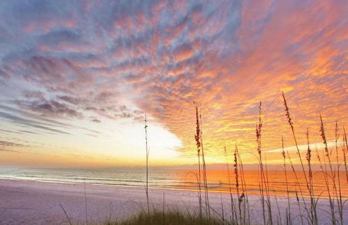 Our House at the Beach C-215 - Photo 44