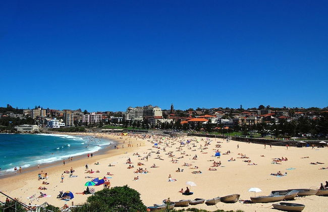 Comfy Coogee Living H328 - Photo 18