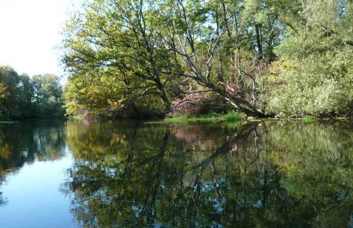 Ferienwohnung Am Rebberg - Photo 20