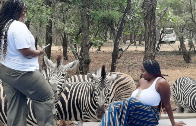 African Sky Villas - Photo 57