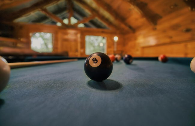 Mountain Laurel - Foto 27