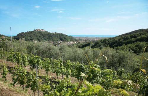 Agriturismo La Sarticola - Foto 4