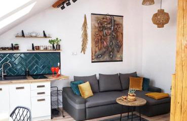 Loft Żuławy, apartament na wyłączność - Foto 13