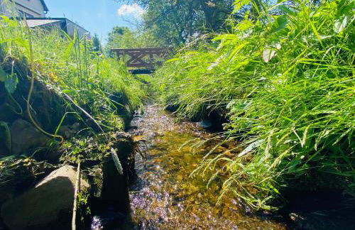 Ferienhof Alte Wildmeisterei - Fewo Gartenblick - Foto 32