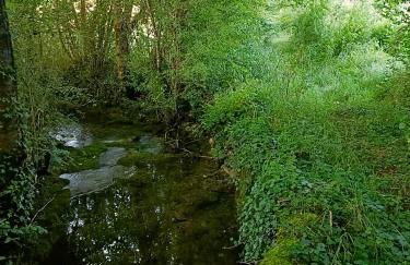 Le Petit Manoir Vaillac - Foto 21