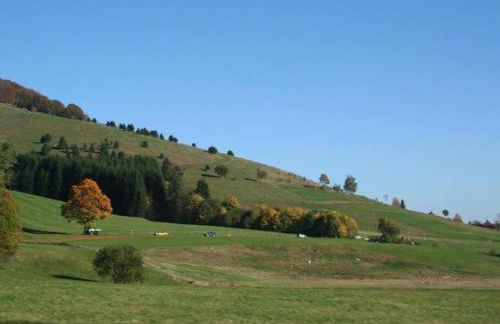 Lush Apartment in Furtwangen near Black Forest with Balcony - Foto 52