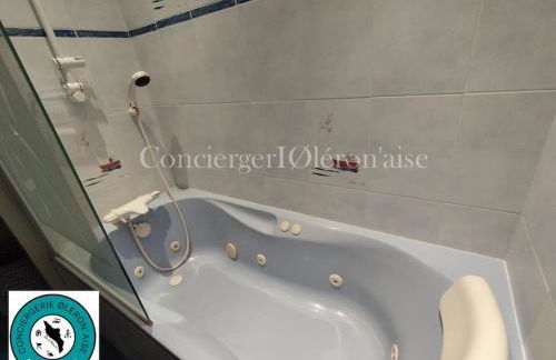 Grande villa avec piscine près du Phare - Foto 27