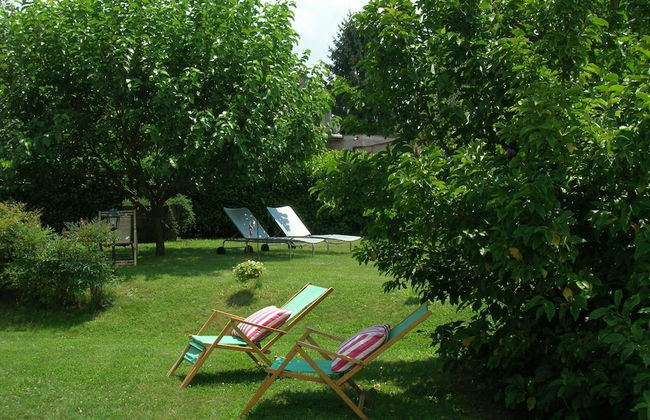 Olive Tree Hill - Foto 22