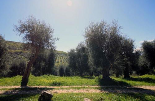 Masseria Procacci - Foto 11