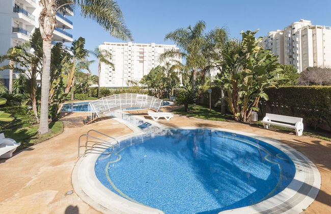 Alejandrita in Grau i Platja - Foto 4