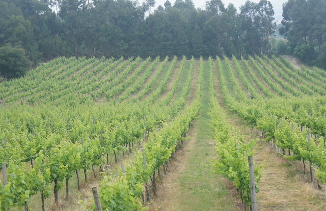 Casa De Sezim - Foto 21