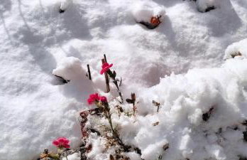 Ferienwohnung Chiemgau - erleben - Foto 18