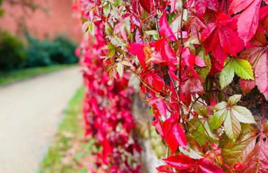 Riverside apartment in central Herzogenaurach - Foto 29