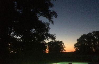 Chateau De Piedouault - Photo 23