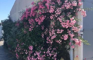 La maison de Chassiron,Jacuzzi, Climatisation, 4 chambres, Plage à 600M - Foto 40