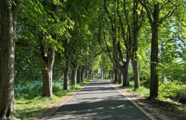 Knusperhäuschen mit Sauna - Foto 26