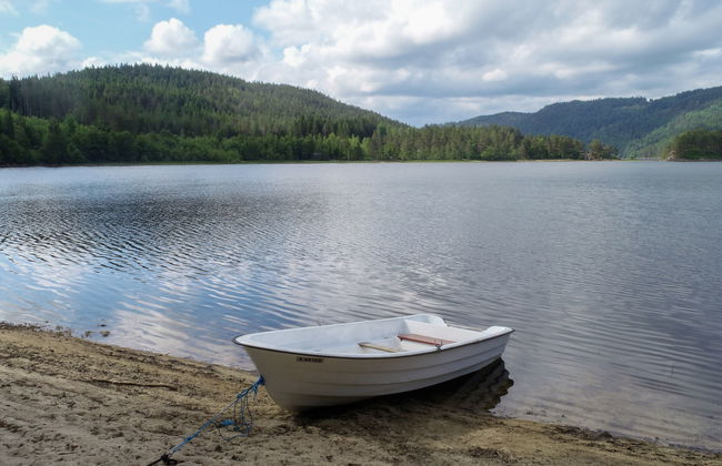 Midtholmen - Foto 43