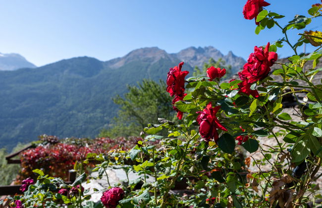 Baita del Celtico - Photo 23