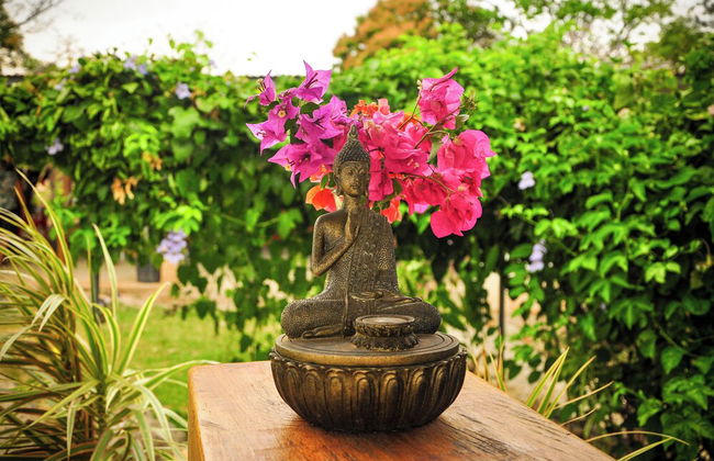 La Maracuyá - Photo 38