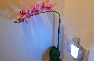 Linnhe View Fort William - Foto 52