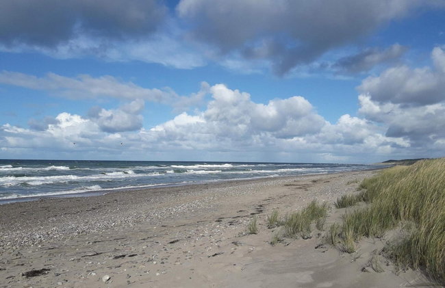 5 Star Holiday Home in Liseleje - Foto 37