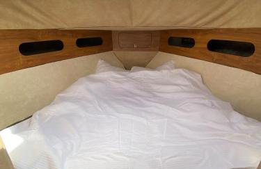 The River Thames - Surrey Boat - Foto 18