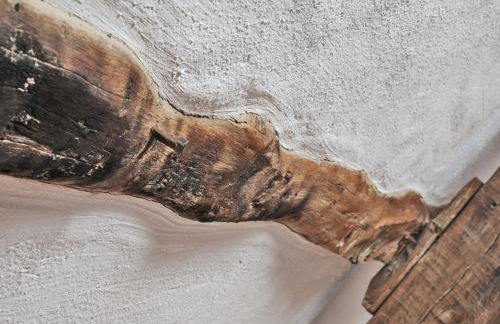 Treleddyn Farmhouse - Photo 18