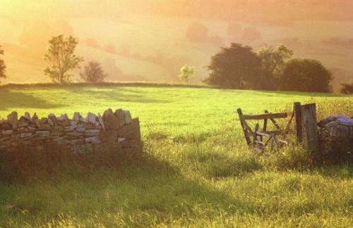White Hart Cottage, Menheniot, Nr Looe - Foto 47
