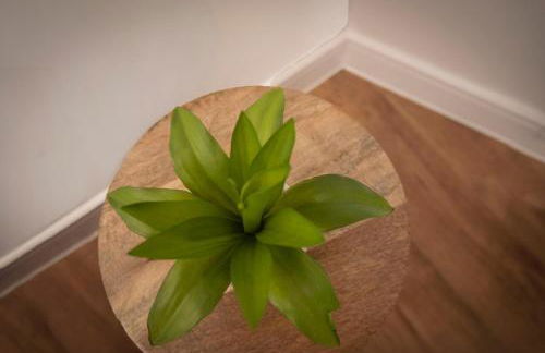 Cosy 2-Bed Apartment in Penarth Town Flat 1 - Photo 9