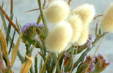 ''Le Bleu Infini'' - Foto 47