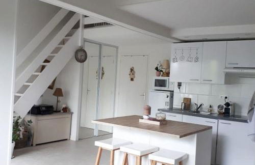 COSY Home - 2 à 4 pers - Aéroport - vieux Blagnac - Foto 17