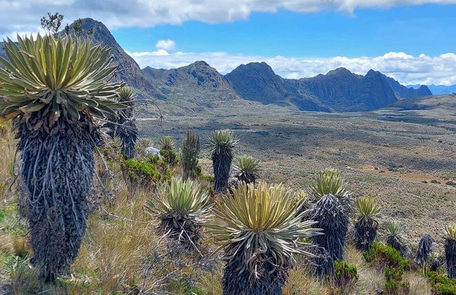 Páramo de Sumapaz Trip - Photo 2