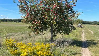 "room with a view" Wunderschönes Häuschen mit Traumblick und Kaminofen - Foto 5