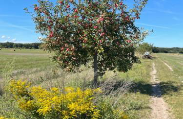 "room with a view" Wunderschönes Häuschen mit Traumblick und Kaminofen - Foto 5